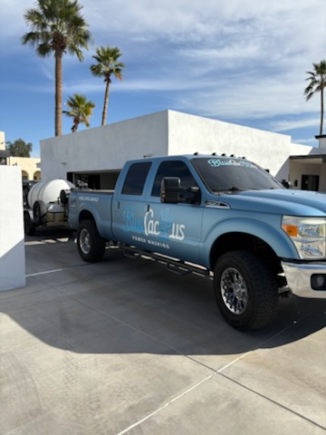 Blue Cactus Power Washing branded truck with palm trees