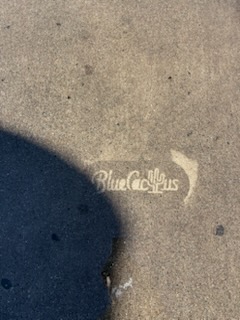 Blue Cactus Power Washing logo pressure-washed on concrete