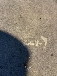 Blue Cactus Power Washing logo pressure-washed on concrete